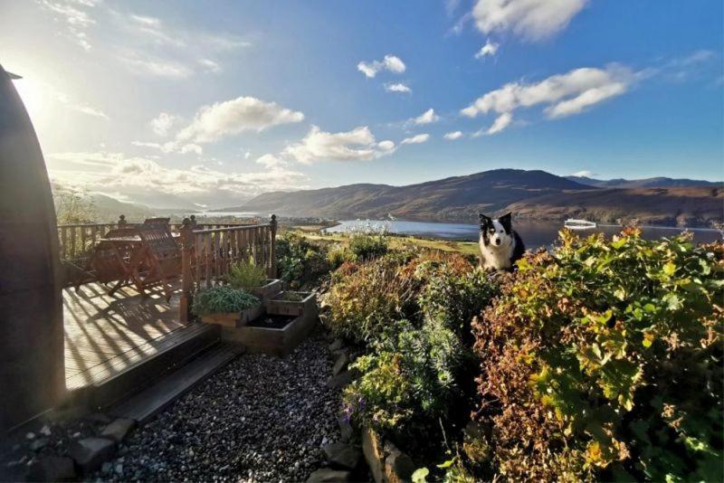 The Highland Bothies Glamping Appartamento Ullapool